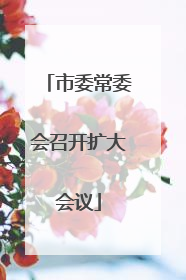市委常委会召开扩大会议