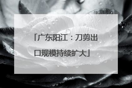 广东阳江：刀剪出口规模持续扩大
