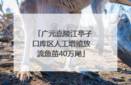 广元嘉陵江亭子口库区人工增殖放流鱼苗40万尾