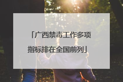 广西禁毒工作多项指标排在全国前列