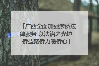 广西全面加强涉侨法律服务 以法治之光护侨益聚侨力暖侨心