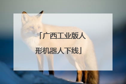 广西工业版人形机器人下线