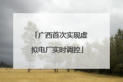 广西首次实现虚拟电厂实时调控