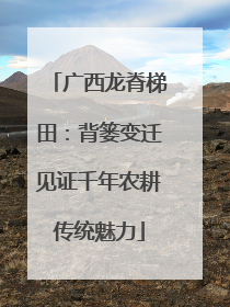 广西龙脊梯田：背篓变迁见证千年农耕传统魅力