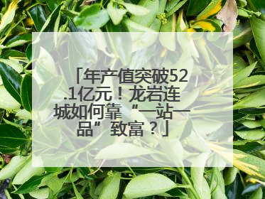年产值突破52.1亿元！龙岩连城如何靠“一站一品”致富？