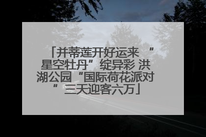 并蒂莲开好运来 “星空牡丹”绽异彩 洪湖公园“国际荷花派对”三天迎客六万