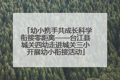 幼小携手共成长科学衔接零距离——台江县城关四幼走进城关三小开展幼小衔接活动