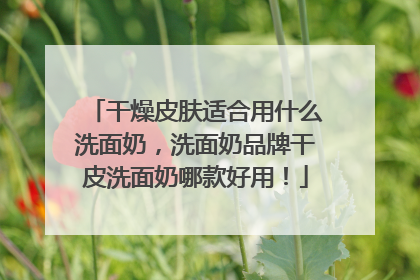 干燥皮肤适合用什么洗面奶，洗面奶品牌干皮洗面奶哪款好用！