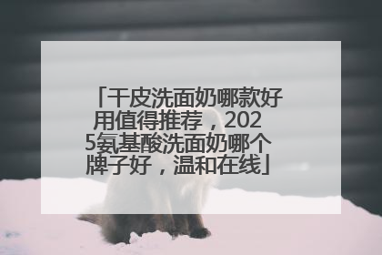 干皮洗面奶哪款好用值得推荐，2025氨基酸洗面奶哪个牌子好，温和在线