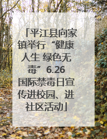 平江县向家镇举行“健康人生 绿色无毒”6.26国际禁毒日宣传进校园、进社区活动