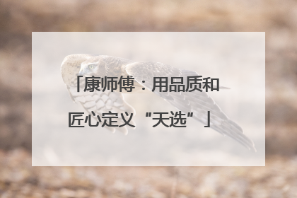 康师傅：用品质和匠心定义“天选”