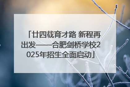 廿四载育才路 新程再出发——合肥剑桥学校2025年招生全面启动