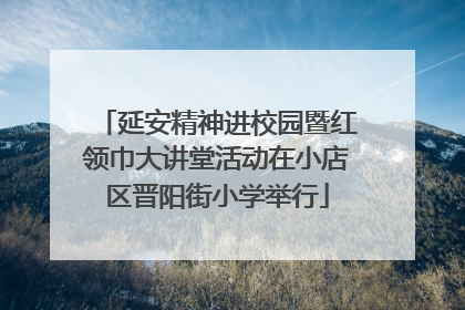 延安精神进校园暨红领巾大讲堂活动在小店区晋阳街小学举行