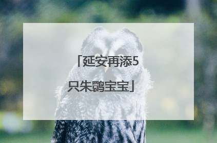 延安再添5只朱鹮宝宝