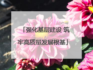 强化基层建设 筑牢高质量发展根基
