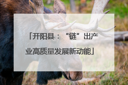 开阳县：“链”出产业高质量发展新动能