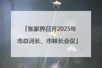 张家界召开2025年市总河长、市林长会议