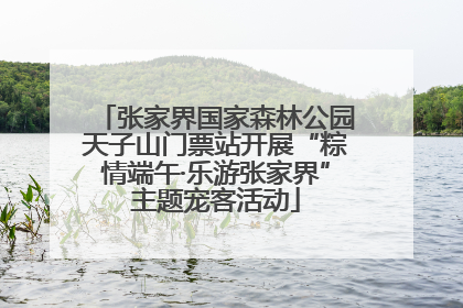 张家界国家森林公园天子山门票站开展“粽情端午·乐游张家界”主题宠客活动