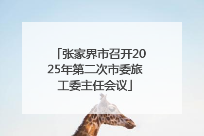 张家界市召开2025年第二次市委旅工委主任会议