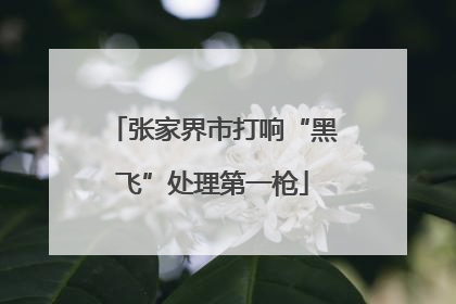 张家界市打响“黑飞”处理第一枪