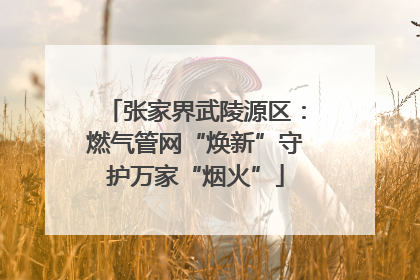 张家界武陵源区：燃气管网“焕新”守护万家“烟火”