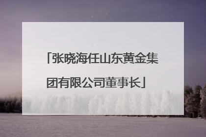 张晓海任山东黄金集团有限公司董事长