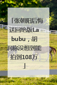 张朝阳后悔送回绝版Labubu，胡润称没想到能拍到108万