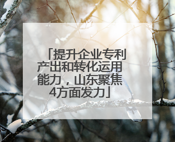 提升企业专利产出和转化运用能力，山东聚焦4方面发力