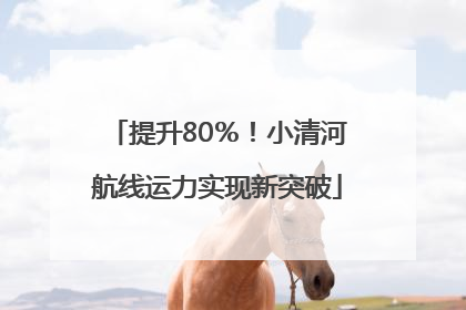 提升80％！小清河航线运力实现新突破