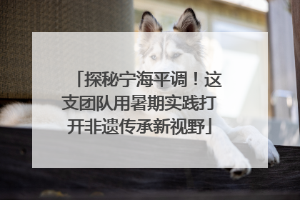 探秘宁海平调！这支团队用暑期实践打开非遗传承新视野