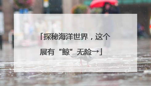 探秘海洋世界，这个展有“鲸”无险→