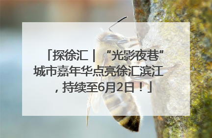 探徐汇｜“光影夜巷”城市嘉年华点亮徐汇滨江，持续至6月2日！