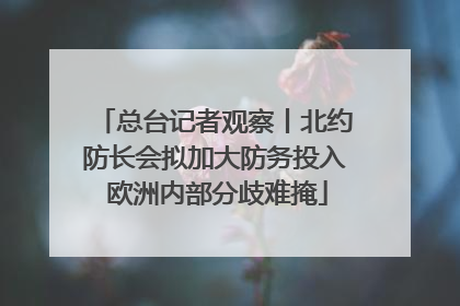 总台记者观察丨北约防长会拟加大防务投入 欧洲内部分歧难掩