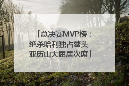 总决赛MVP榜：绝杀哈利独占鳌头 亚历山大屈居次席