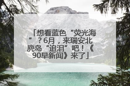 想看蓝色“荧光海”？6月，来瑞安北麂岛“追泪”吧！《90早新闻》来了