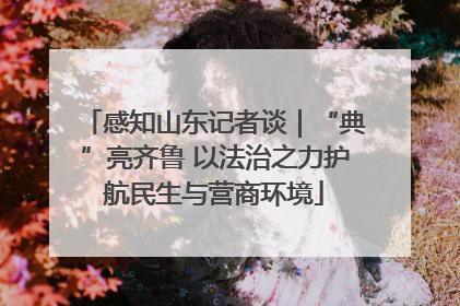 感知山东记者谈｜“典”亮齐鲁 以法治之力护航民生与营商环境