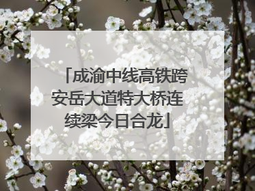 成渝中线高铁跨安岳大道特大桥连续梁今日合龙
