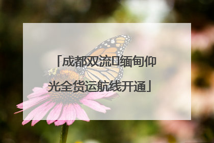 成都双流⇌缅甸仰光全货运航线开通