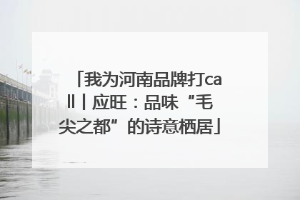 我为河南品牌打call丨应旺：品味“毛尖之都”的诗意栖居