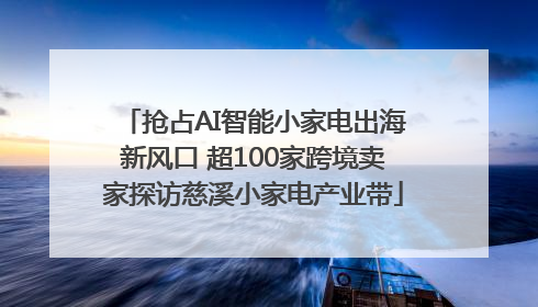 抢占AI智能小家电出海新风口 超100家跨境卖家探访慈溪小家电产业带