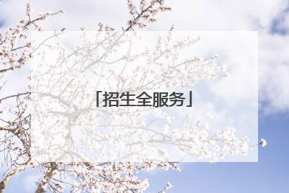 招生全服务