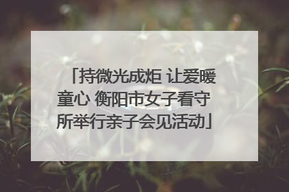 持微光成炬 让爱暖童心 衡阳市女子看守所举行亲子会见活动