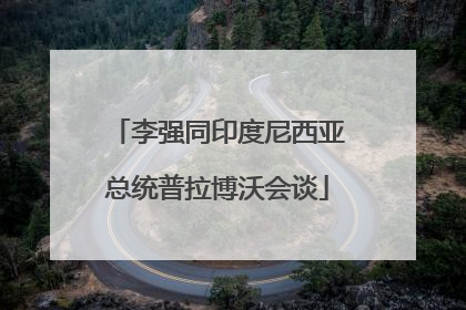 李强同印度尼西亚总统普拉博沃会谈