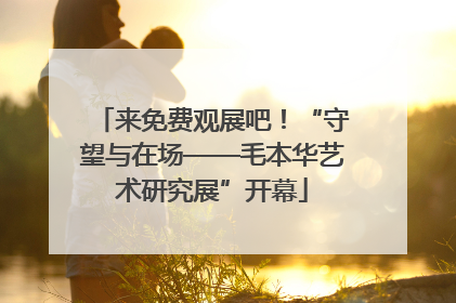 来免费观展吧！“守望与在场——毛本华艺术研究展”开幕