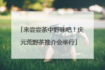 来尝尝茶中野味吧！庆元荒野茶推介会举行