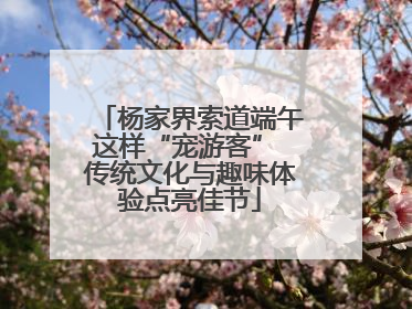 杨家界索道端午这样“宠游客” 传统文化与趣味体验点亮佳节