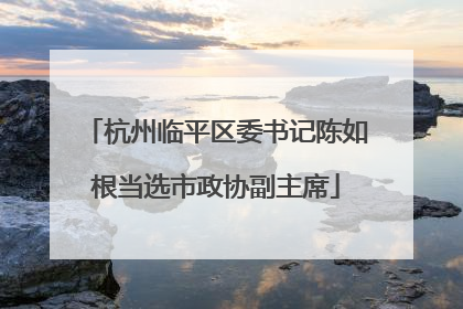 杭州临平区委书记陈如根当选市政协副主席