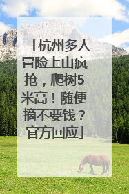 杭州多人冒险上山疯抢，爬树5米高！随便摘不要钱？官方回应