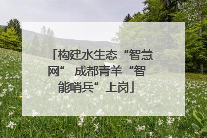 构建水生态“智慧网” 成都青羊“智能哨兵”上岗
