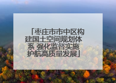 枣庄市市中区构建国土空间规划体系 强化监督实施护航高质量发展